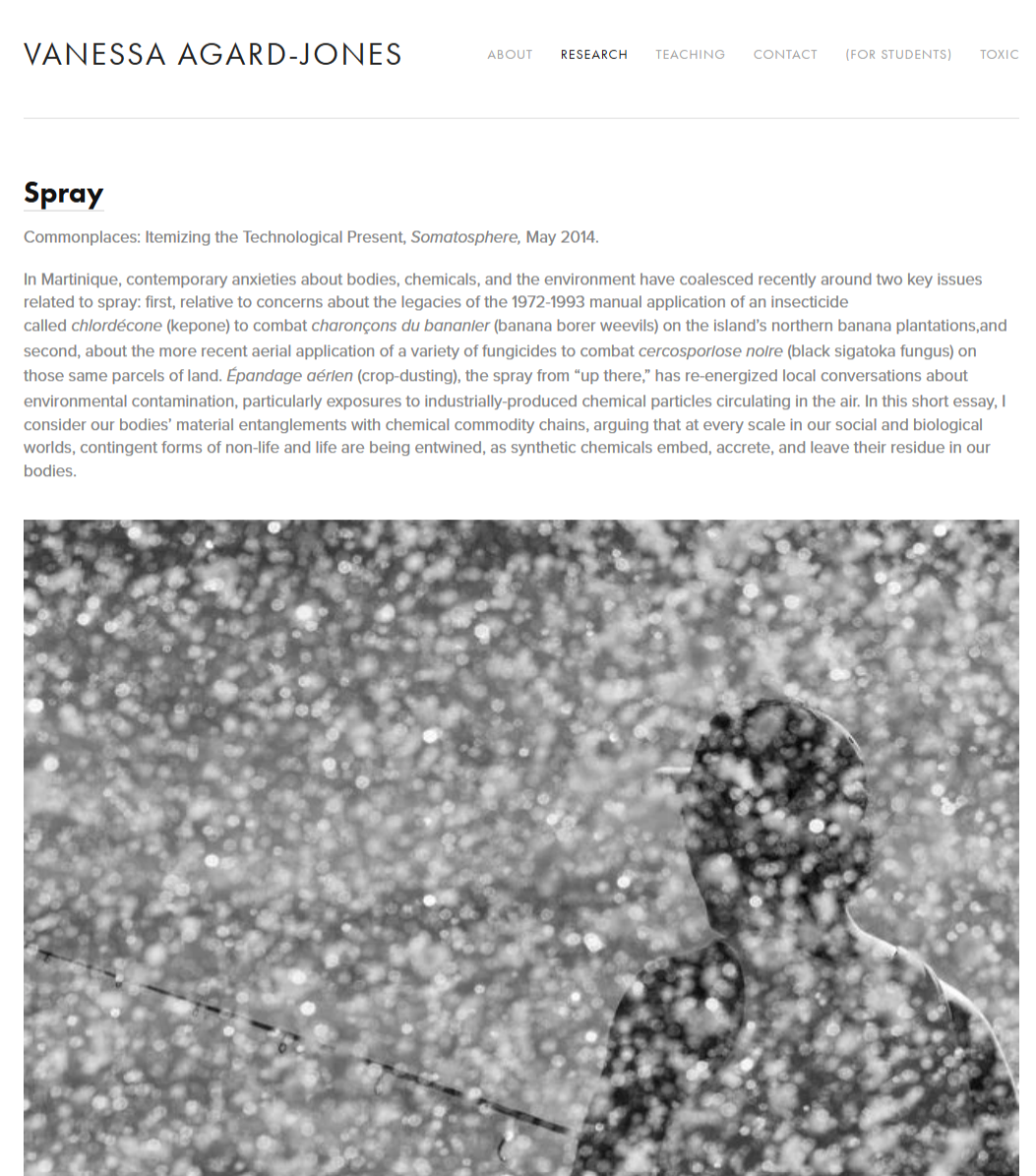 Vanessa Agard-Jones work